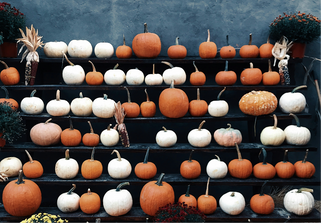 Local Pumpkins & Gourds Are Here! Local Pumpkins & Gourds Are Here!