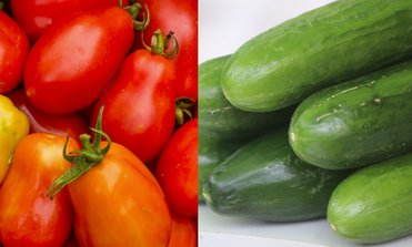 New Seasonal Produce Items: Mini Cucumbers & Roma Tomatoes New Seasonal Produce Items: Mini Cucumbers & Roma Tomatoes