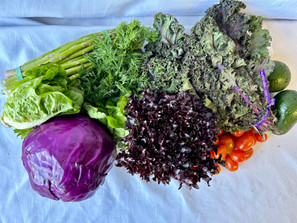 March 19-21 Weekly Features March 19-21 Weekly Features