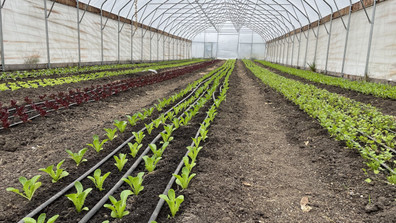 TC Feeds Foundation Introduction