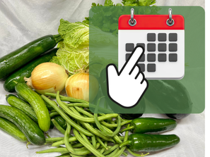 TC Farm CSA Guide
