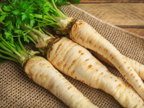 December 16-20 Weekly Features