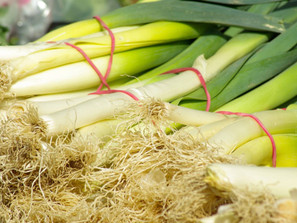 January 26-31 Weekly Features