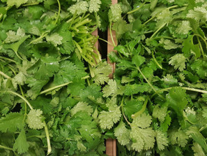 March 16-21 Weekly Features