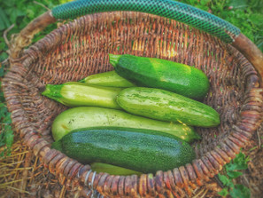 March 23-28 Weekly Features