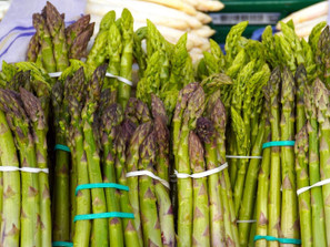 March 30-April 4 Weekly Features