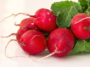 April 20-25 Weekly Features