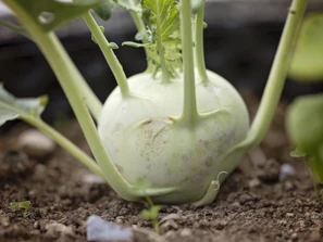 May 4-9 Weekly Features