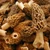 Morel Mushrooms - avg .25lbs