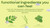 Margarita Lime Mocktail with uplifting guayusa and adaptogens - 12oz Margarita Lime Mocktail with uplifting guayusa and adaptogens - 12oz