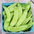 Oregon Sugar Pod Snow Pea Seeds - 1 OZ