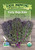 Curly Roja Kale Seeds- 1/32 OZ Curly Roja Kale Seeds- 1/32 OZ