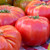 Brandywine Tomato Seeds - 1/10 GRAM Brandywine Tomato Seeds - 1/10 GRAM