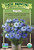 Nigella - 50 SEEDS