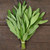 Sage Seeds- 1/32 OZ