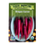 Dragon Carrot Seeds- 1/32 OZ
