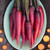 Dragon Carrot Seeds- 1/32 OZ