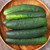 Marketmore Cucumber Seeds - 1/16 Oz