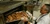 Holiday Meal For a Neighbor In Need - Tax Deductible Donation