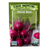 Shiraz Beet Seeds - 1/16oz