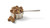 Dehydrated Beef Entree for Dogs - 1 lb
