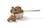 Dehydrated Lamb Entree for Dogs - 1 lb