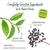 Green Tea with Elderberry & Vitamin C - 0.9 oz