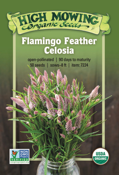 Flamingo Feather Celosia - 50 seeds