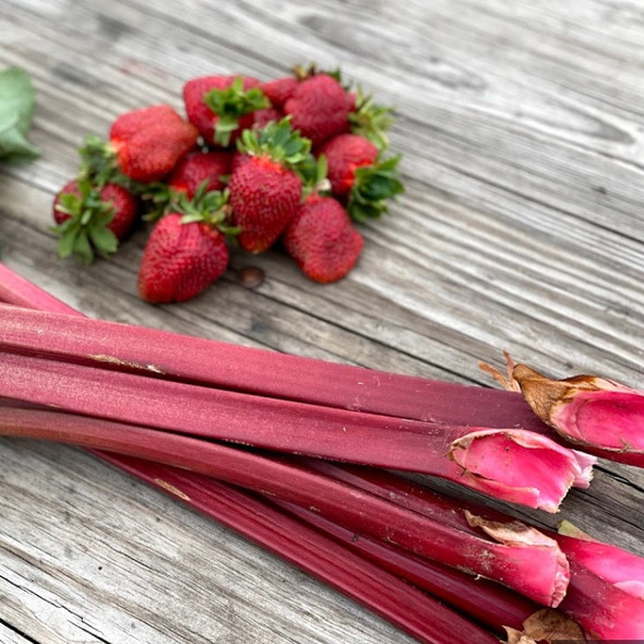 Rhubarb - avg 2lbs