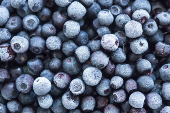 Frozen Organic Blueberries - Bulk - 5lb.