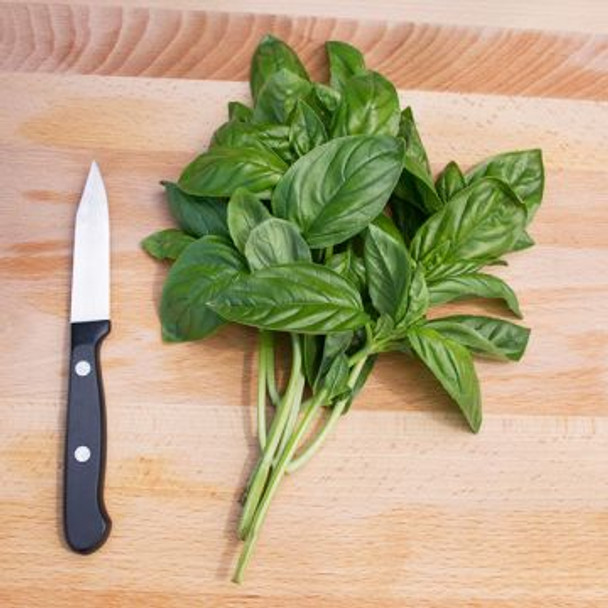 Genovese Basil - ~560 seeds