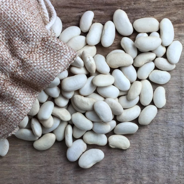 Bulk Dried White Kidney Beans - 25lbs