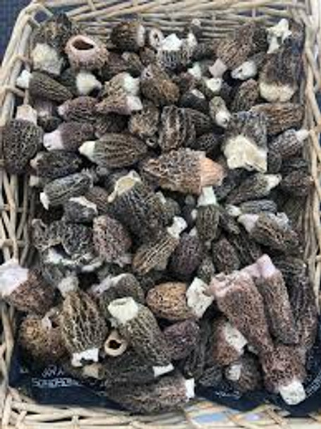 Morel Mushrooms - avg .25lbs