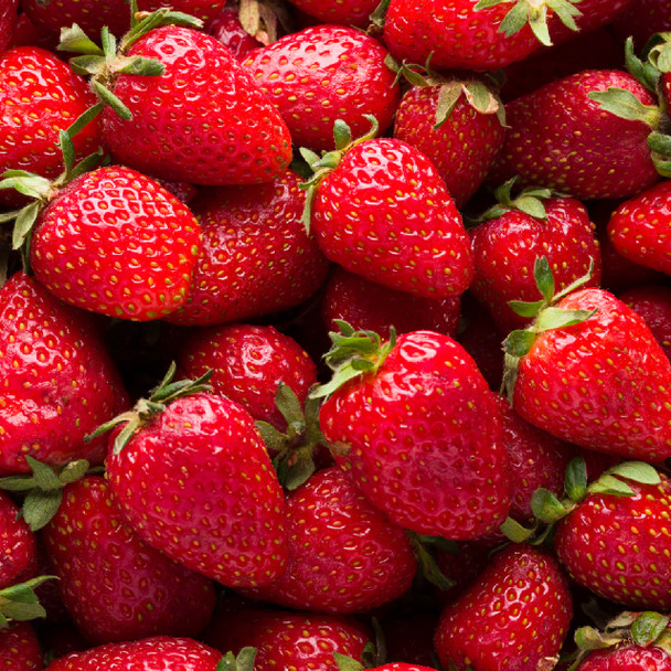 Organic and Delicious Strawberries