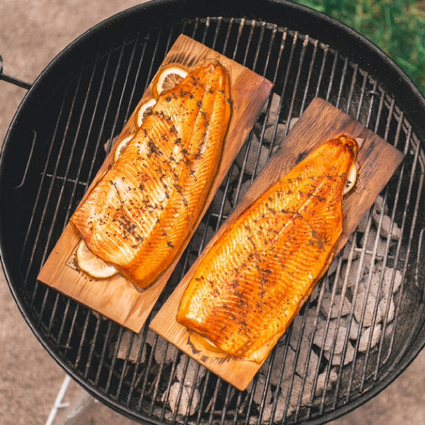 Two Salmon Fillets on the Grill