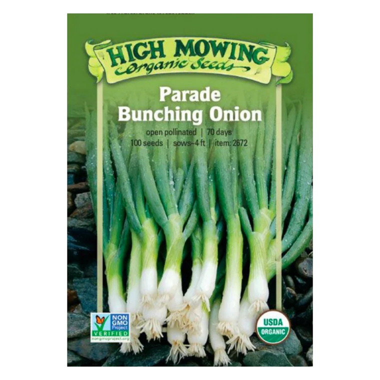 Parade Bunching Onion - 100 SEEDS