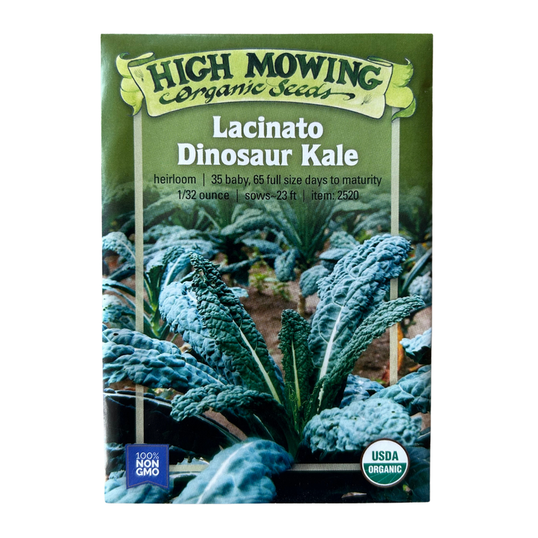 Lacinato Kale Seeds- 1/32 OZ