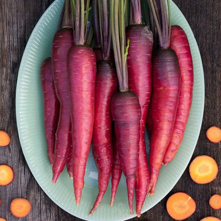 Dragon Carrot Seeds- 1/32 OZ