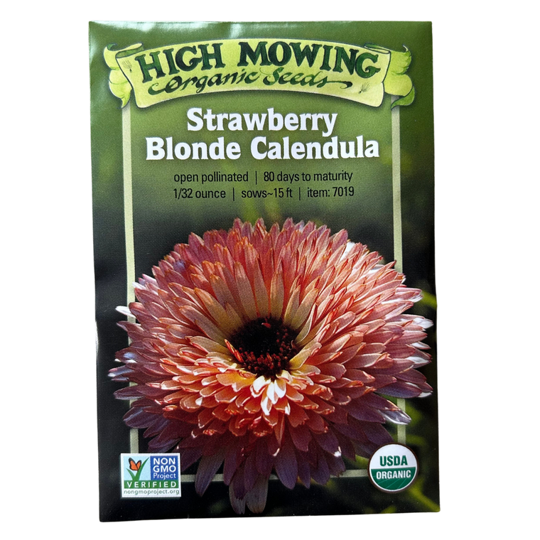 Strawberry Blonde Calendula Seeds- 1/32 oz