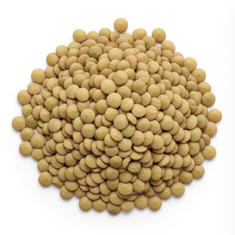 Bulk Organic Green Lentils - 1lb