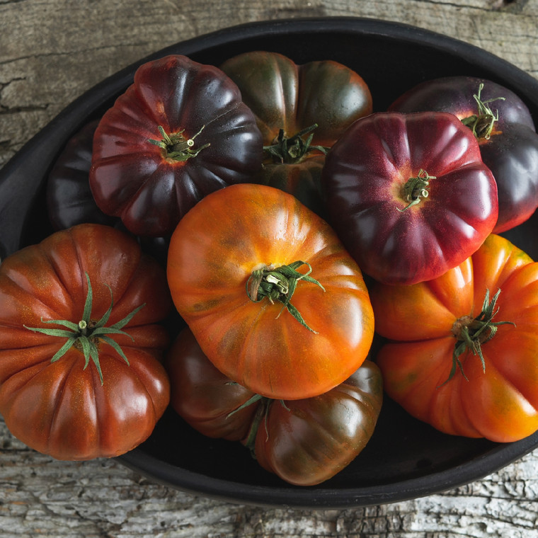 Heirloom Tomato variety in a bowl