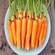 Scarlet Nantes Carrot - ~340 to 1200 seeds