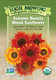 Autumn Beauty Sunflowers - ~65 seeds