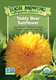 Teddy Bear Sunflowers - ~80 seeds