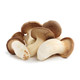 Mushroom Sampler - avg 1.45lb