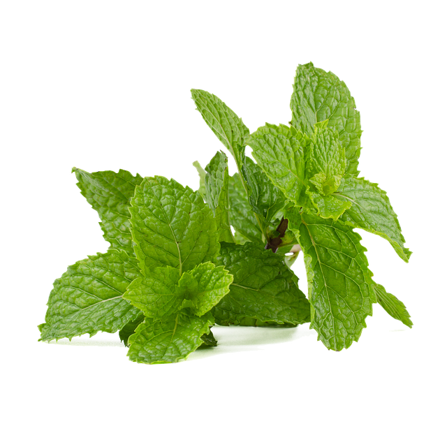 Herbs - Mint - 0.5oz