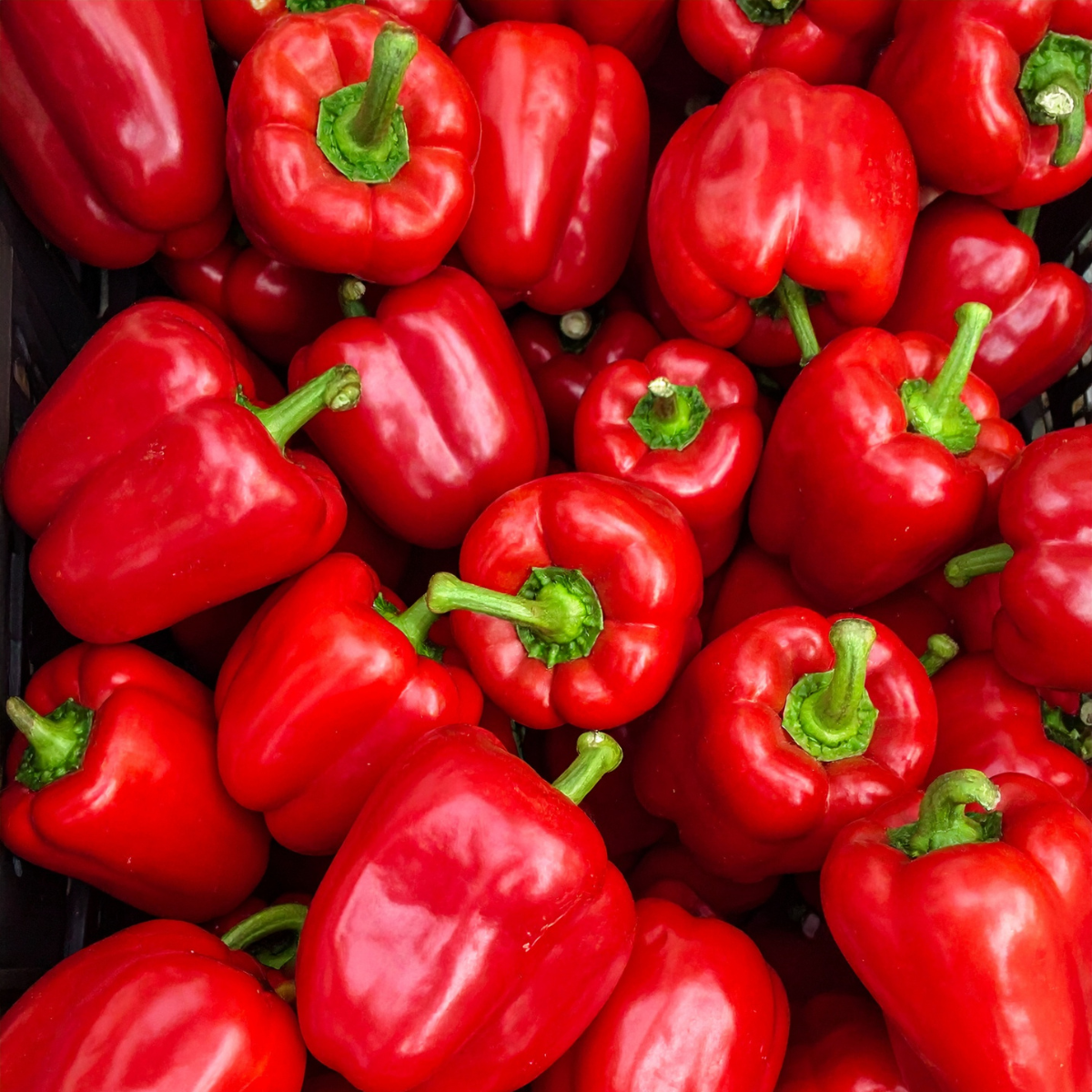 Red Bell Peppers - avg 2lb