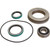 30418,IPTO Gear Bearing & Seal Kit,Case IH\/International-Tractor