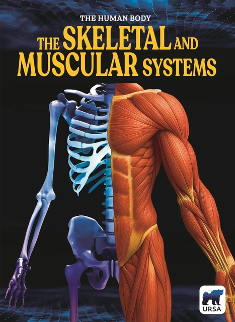 test The Skeletal and Muscular Systems