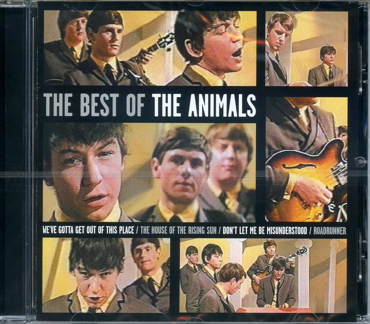 Best of: Animals
